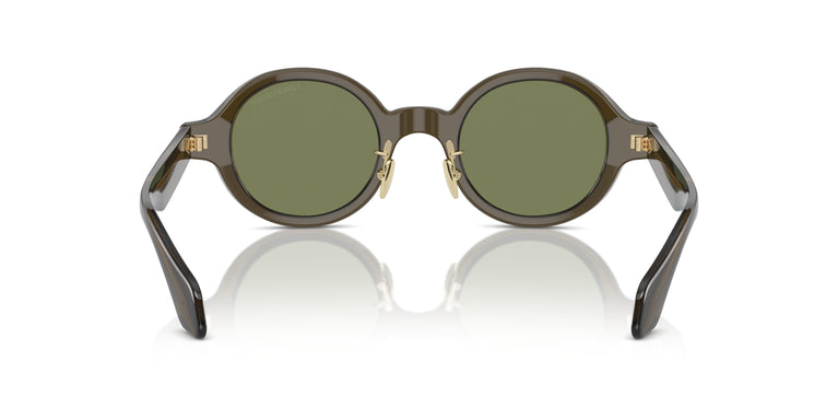 Giorgio Armani AR8205  60612A 46