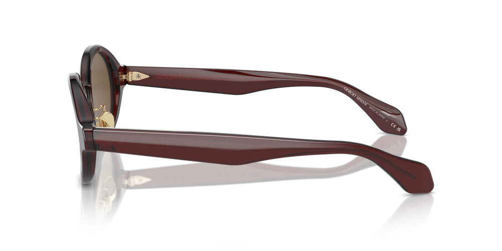 Giorgio Armani AR8205  606273 46