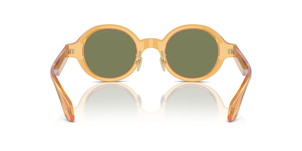 Giorgio Armani AR8205 60632A 46