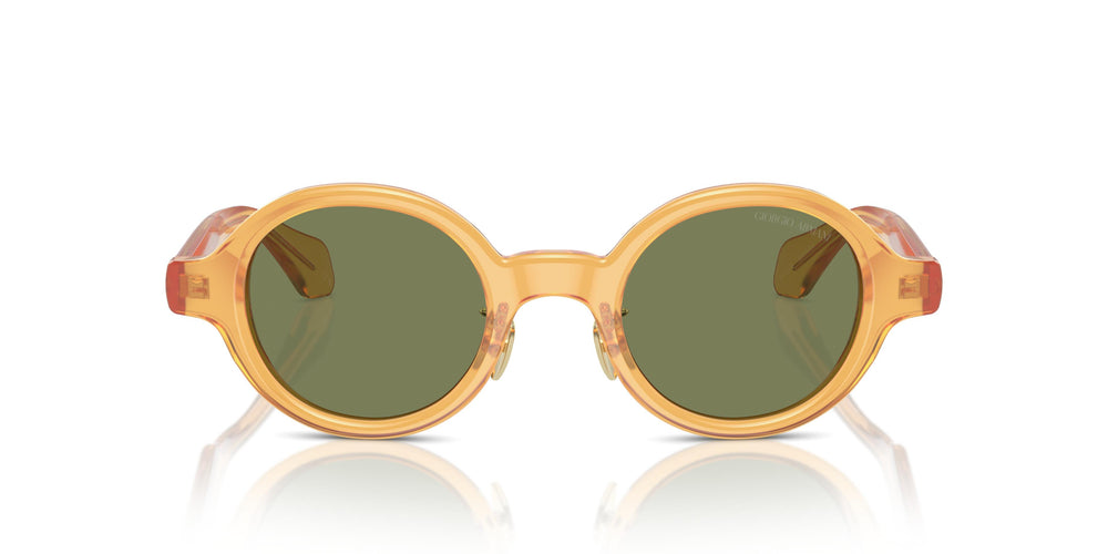 Giorgio Armani AR8205 60632A 46