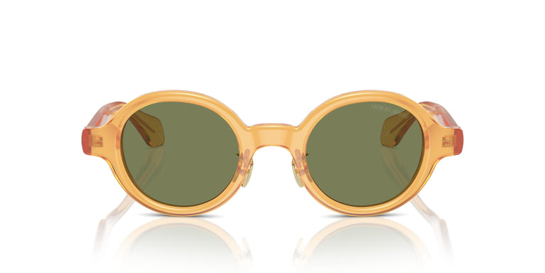 Giorgio Armani AR8205  60632A 46