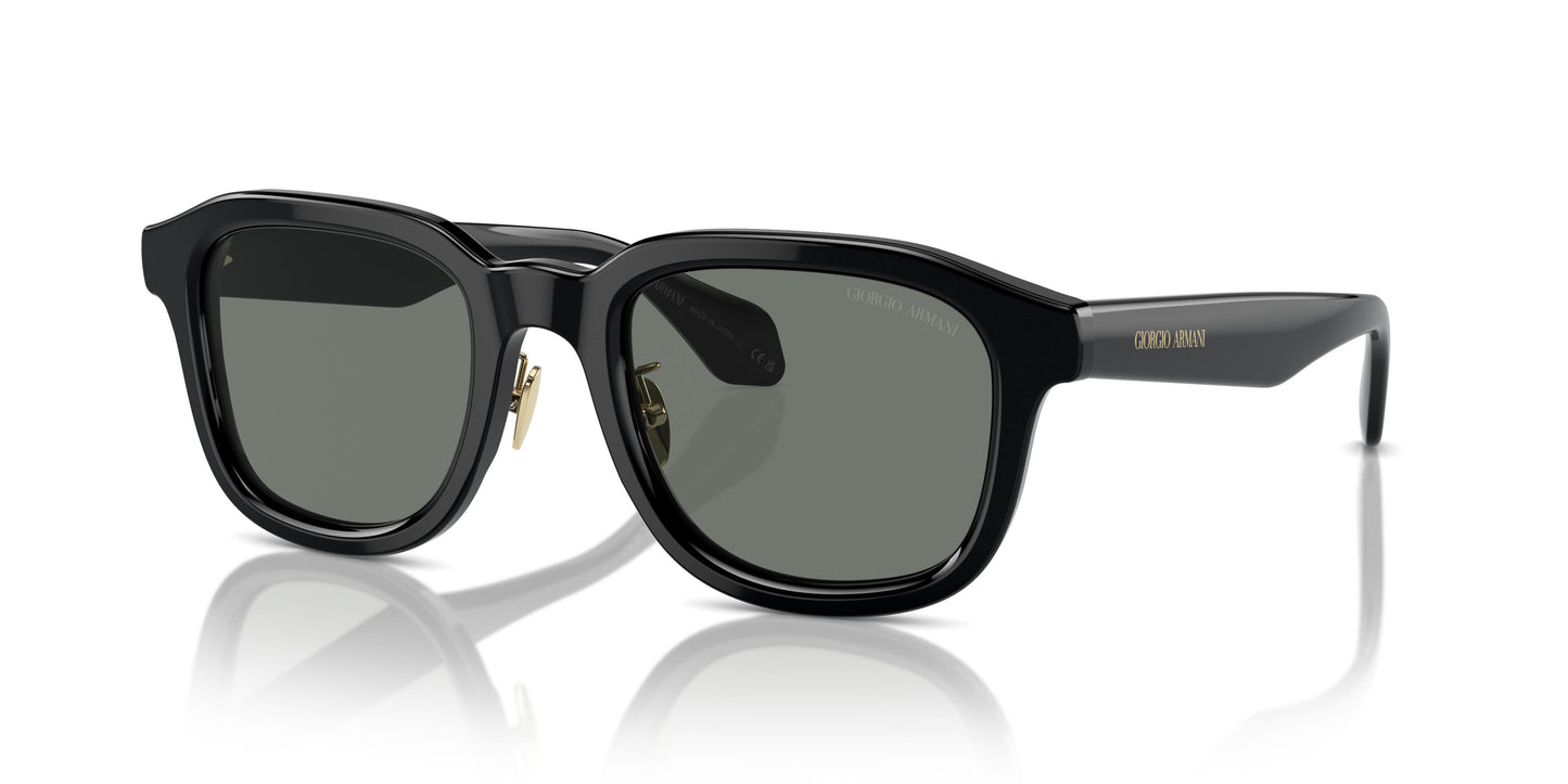 Giorgio Armani AR8206  6060/1 50