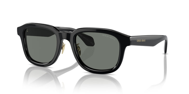 Giorgio Armani AR8206  6060/1 50