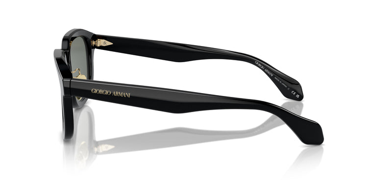 Giorgio Armani AR8206  6060/1 50
