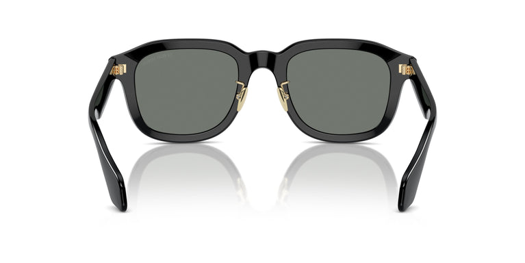 Giorgio Armani AR8206  6060/1 50