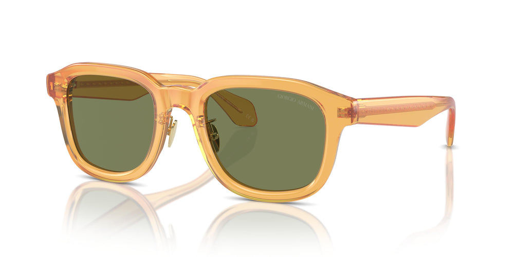 Giorgio Armani AR8206 60632A 50