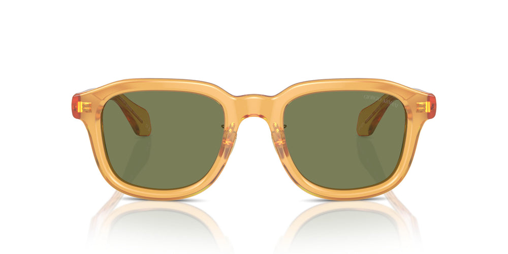 Giorgio Armani AR8206 60632A 50