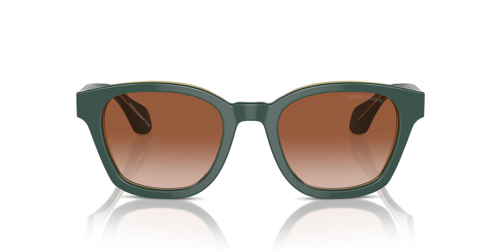 Giorgio Armani AR8207 608613 50