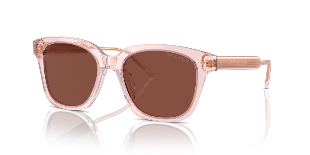 Giorgio Armani AR8210U 6073C5 52