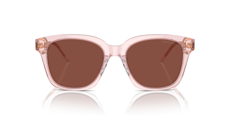 Giorgio Armani AR8210U  6073C5 52