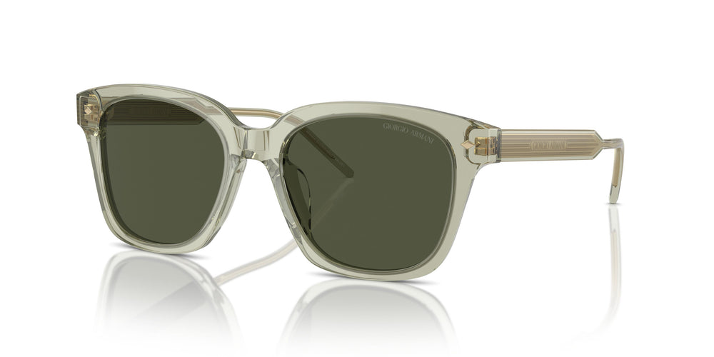 Giorgio Armani AR8210U 608331 52
