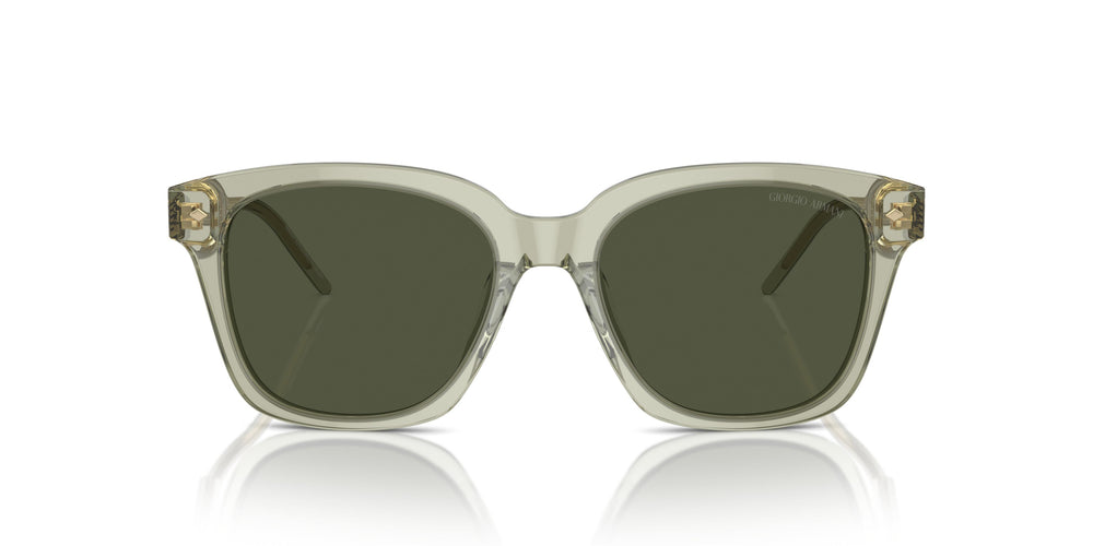 Giorgio Armani AR8210U  608331 52