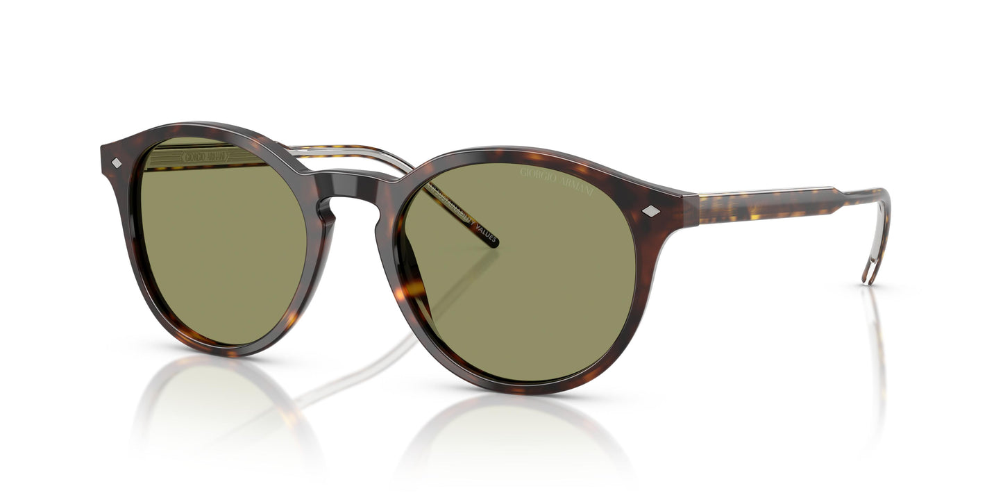 Giorgio Armani AR8211 587914 52