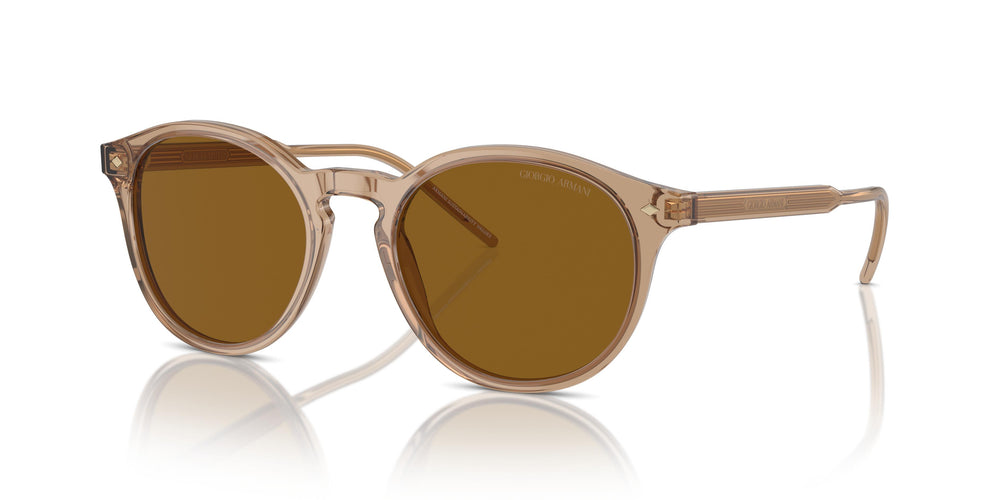 Giorgio Armani AR8211  607233 52