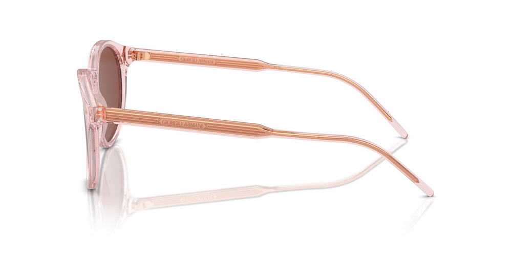 Giorgio Armani AR8211 6073C5 52