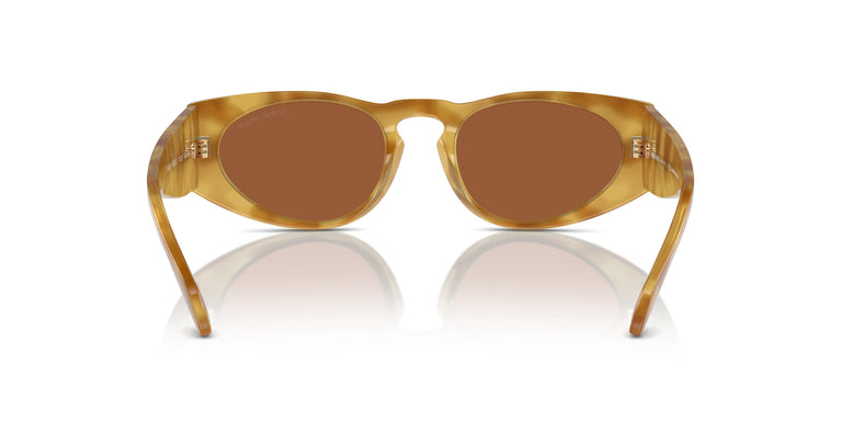 Giorgio Armani AR8216  597973 51