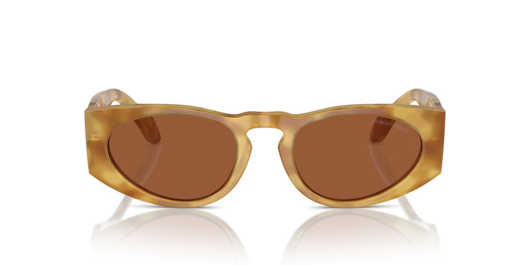 Giorgio Armani AR8216  597973 51