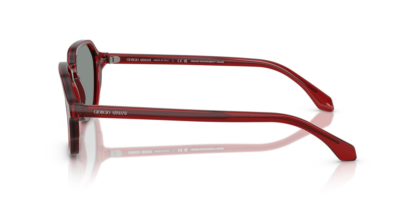 Giorgio Armani AR8220  617056 52