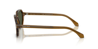 Giorgio Armani AR8220  617231 52