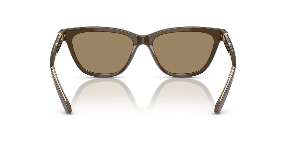 Giorgio Armani AR8221  595753 55