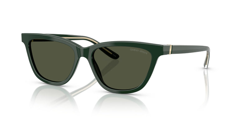 Giorgio Armani AR8221  617331 55