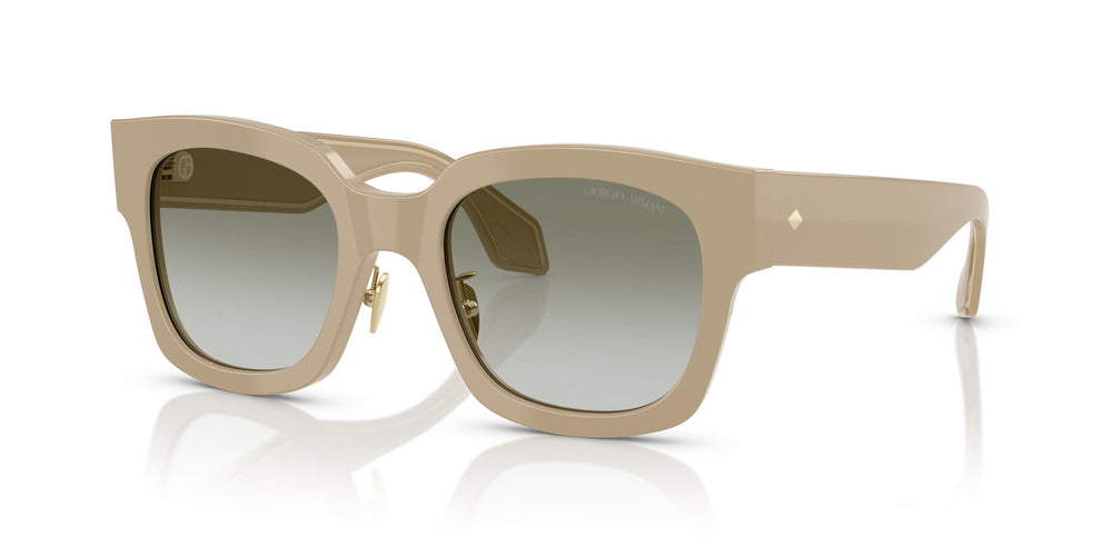 Giorgio Armani AR8223 61618E 51