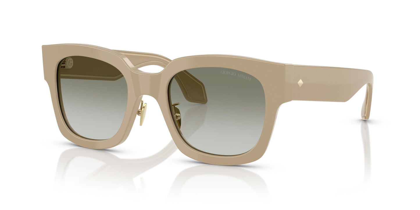 Giorgio Armani AR8223  61618E 51