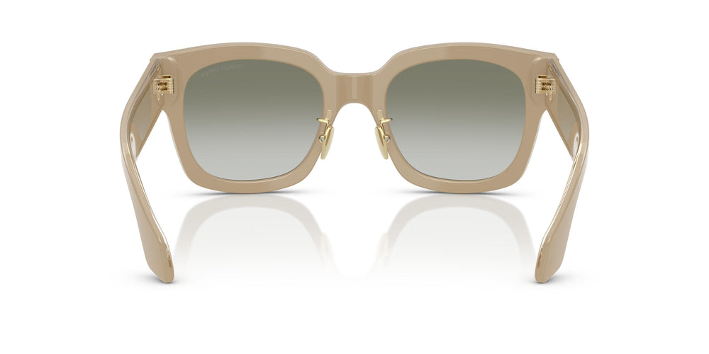 Giorgio Armani AR8223 61618E 51
