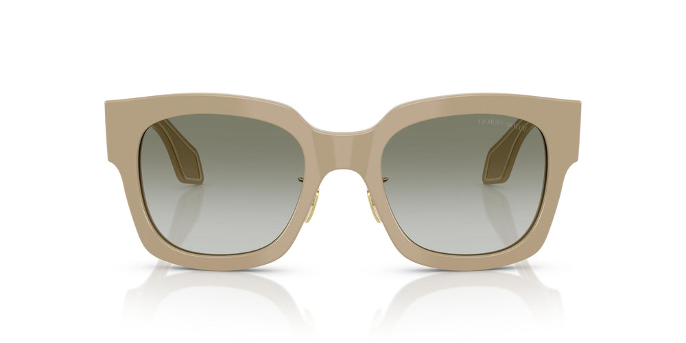 Giorgio Armani AR8223 61618E 51