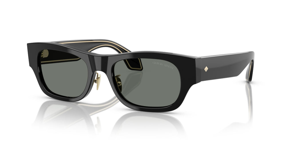 Giorgio Armani AR8224 500111 52