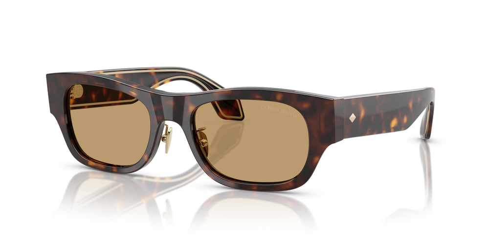 Giorgio Armani AR8224 502673 52