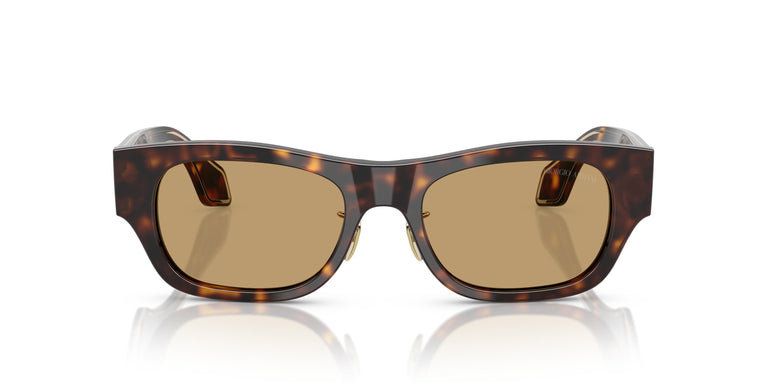 Giorgio Armani AR8224  502673 52