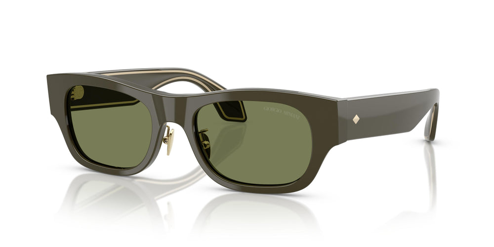 Giorgio Armani AR8224 61582A 52
