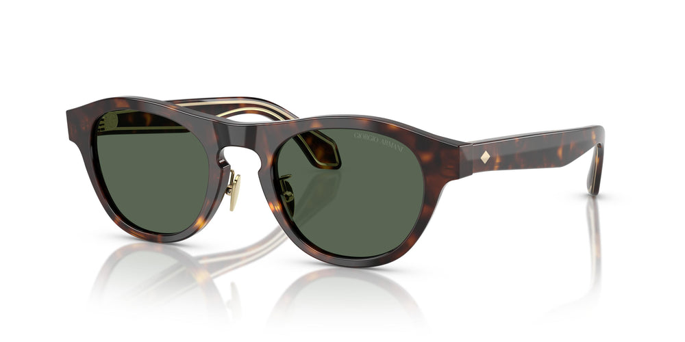 Giorgio Armani AR8225  502671 49