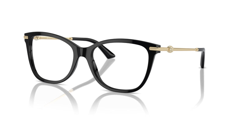 Jimmy Choo JC3007HB 5000 52