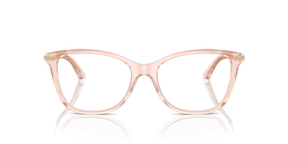 Jimmy Choo JC3007HB 5034 54