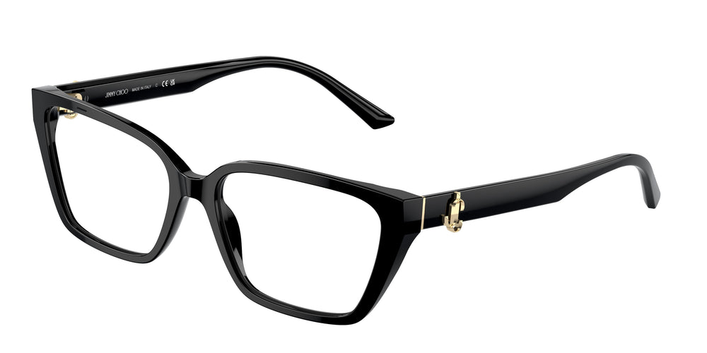 Jimmy Choo JC3008 5000 55