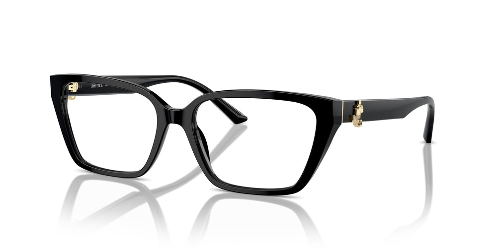 Jimmy Choo JC3008 5000 55