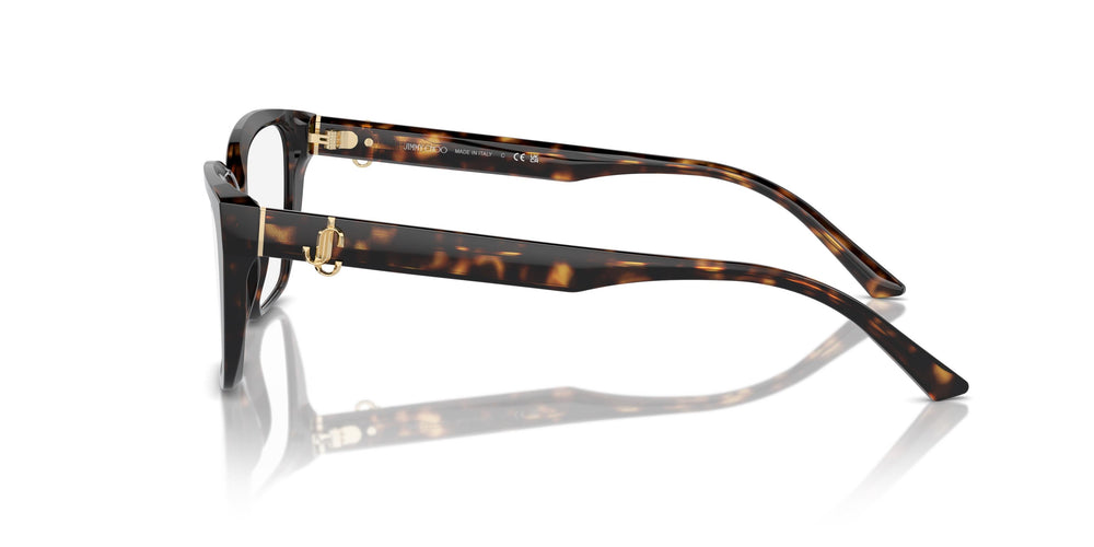 Jimmy Choo JC3008 5002 55