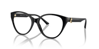 Jimmy Choo JC3009 5000 54