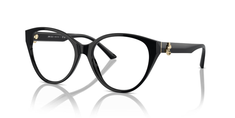 Jimmy Choo JC3009 5000 54