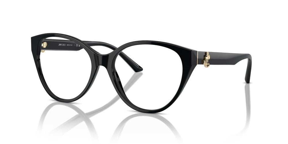 Jimmy Choo JC3009 5000 52