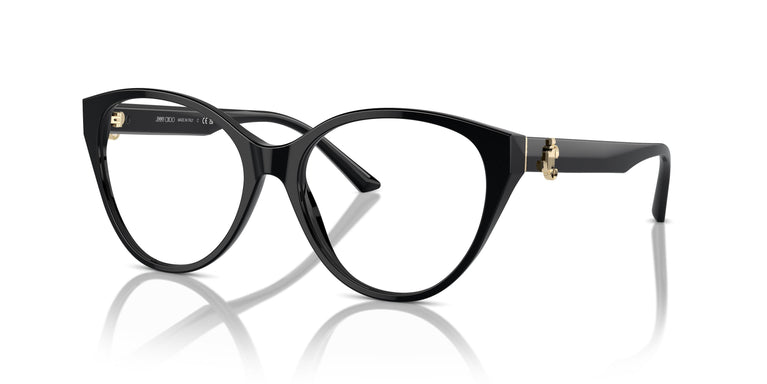 Jimmy Choo JC3009 5000 52