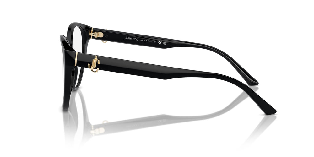 Jimmy Choo JC3009 5000 54