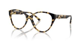 Jimmy Choo JC3009 5004 52