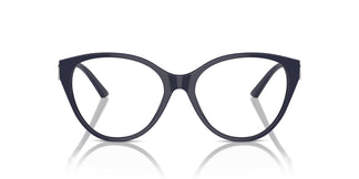 Jimmy Choo JC3009 5016 52