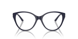 Jimmy Choo JC3009 5016 54