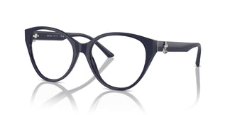 Jimmy Choo JC3009 5016 52