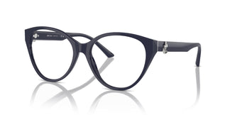 Jimmy Choo JC3009 5016 54