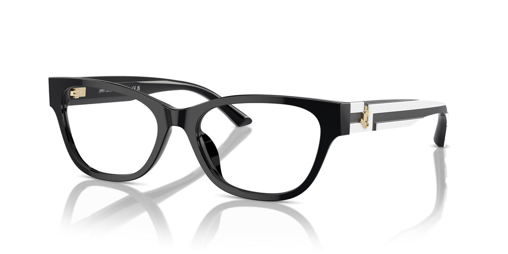 Jimmy Choo JC3010U 5017 54